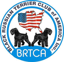 Black Russian Terrier Club of America